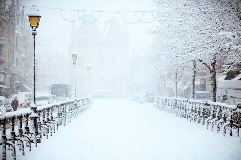 Whimsical Bridal Veils for Cold Days: Adding Charm to Your Winter Wedding