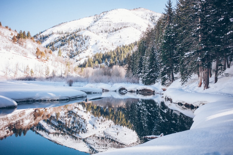 Distinctive Winter Bridal Touches: Crafting Your Dream Wedding in the Snow