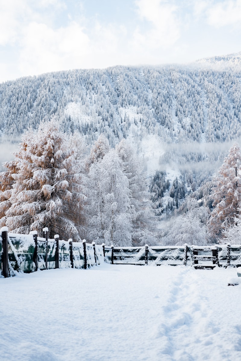 Charming Inviting Winter Wedding Themes for Your Perfect Day